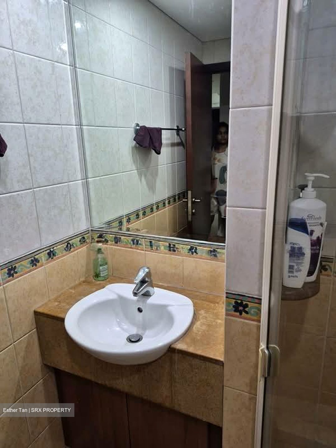 Sunhaven (D16), Condominium #602925881